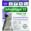 Advantage_4pk_LargeCat_Front