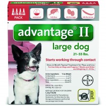 Advantage_4pk_LargeDog_Front