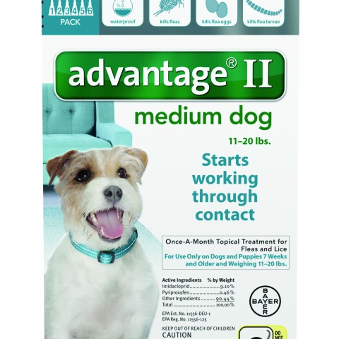 Advantage_6pk_MedDog_Front