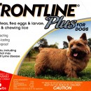 Frontline Plus  0-22    orange 12 pack